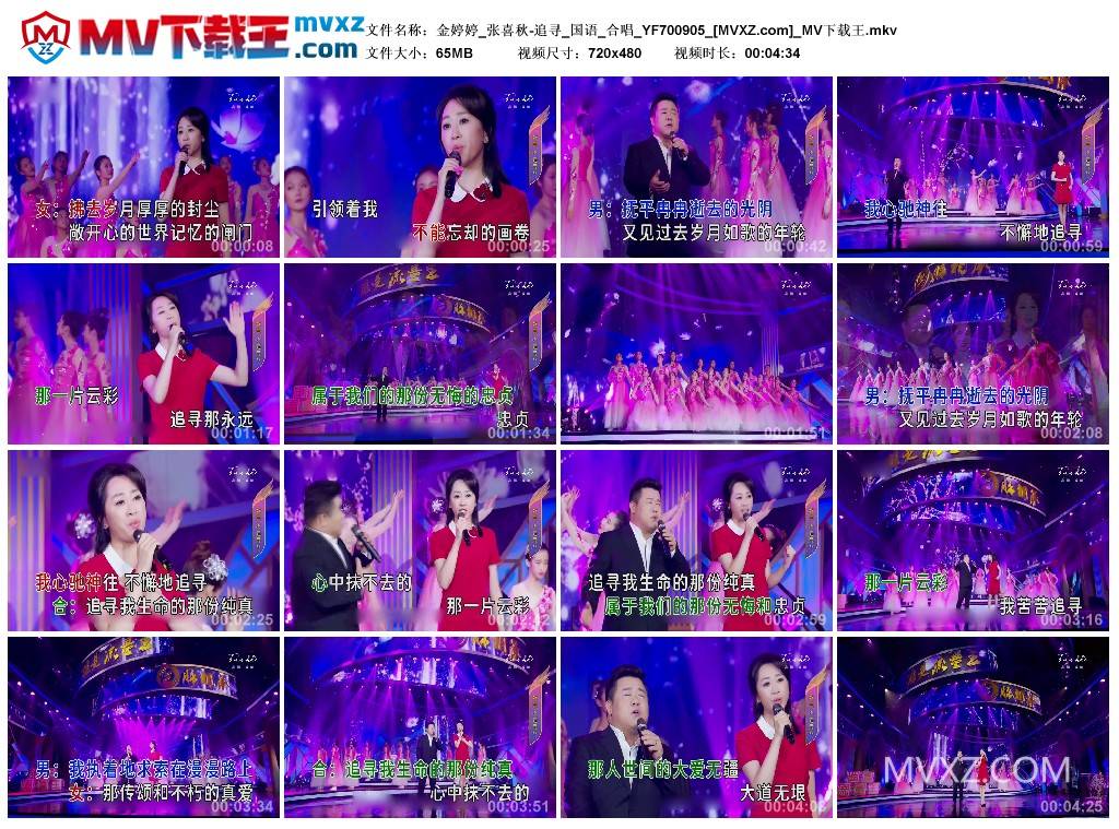 金婷婷_张喜秋-追寻_国语_合唱_YF700905